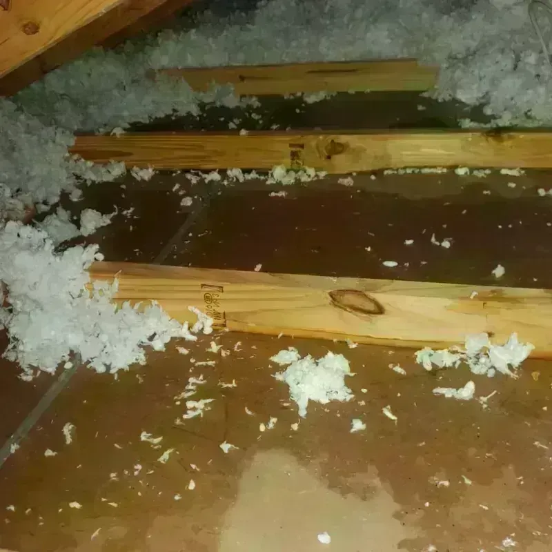 Attic Water Damage in Ponderosa Park, CO